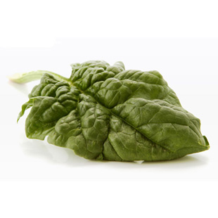 自制菠菜汁蜂蜜補水保濕面膜-菲菲美人館