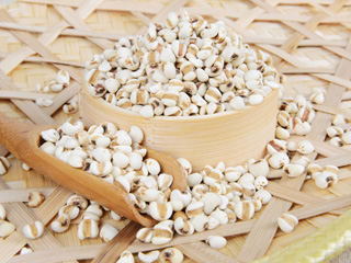 自制薏米去黑美白面膜-菲菲美人館