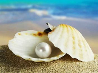 自制珍珠粉補水美白面膜-菲菲美人館