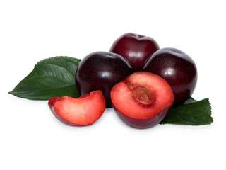 自制黑布朗抗氧化去皺面膜-菲菲美人館