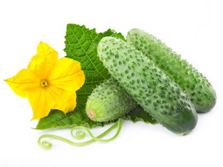 自制黃瓜糯米汁保濕活顏面膜-菲菲美人館