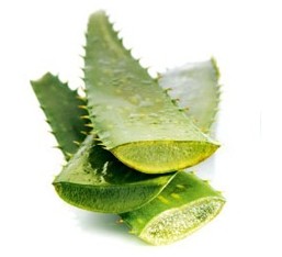 蘆薈葡萄柚曬后修復面膜-菲菲美人館