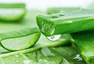 蘆薈加什么可以美白淡斑-菲菲美人館
