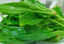 比抗皺面霜還好用的“美容”蔬菜-菲菲美人館