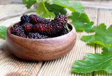 抗衰老抗氧化食物有哪些-菲菲美人館