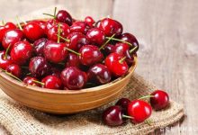 最適合夏天吃的美白食物-菲菲美人館