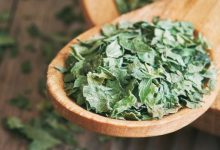 艾葉洗臉能祛痘嗎-菲菲美人館