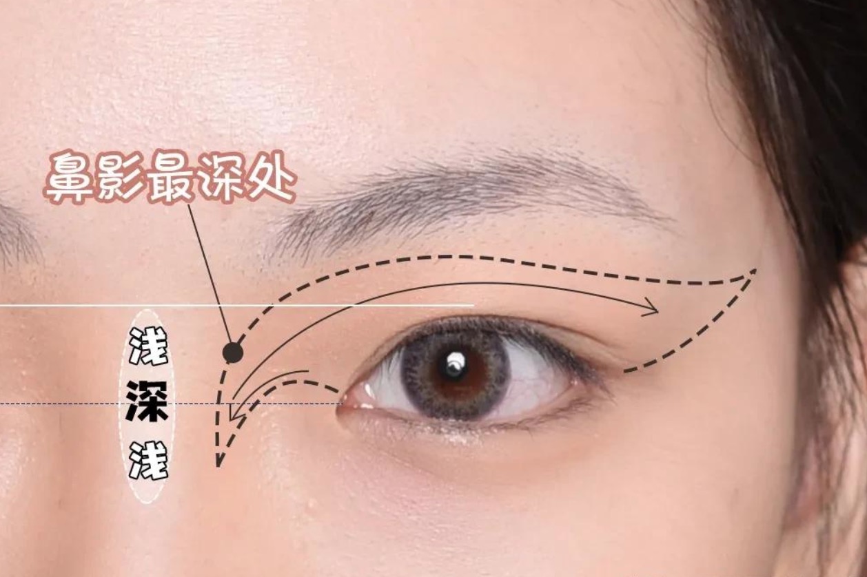 图1-76 外鼻和鼻中隔-基础医学-医学