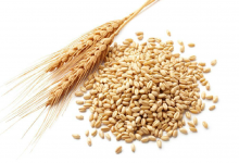 多吃8種五谷雜糧 美膚防衰老-菲菲美人館